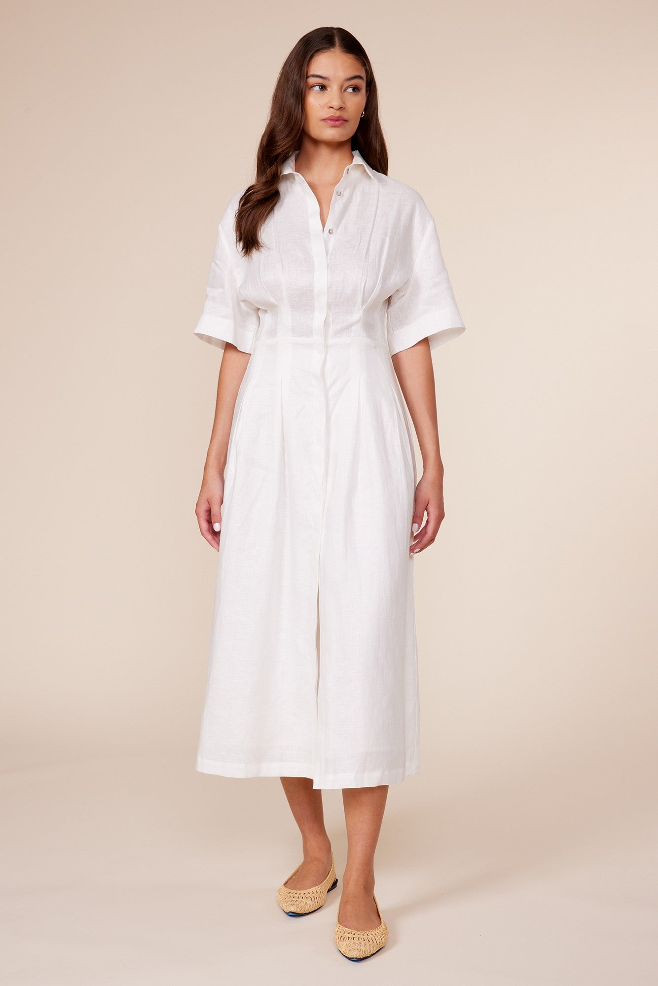 Eleanor Pleated Dress