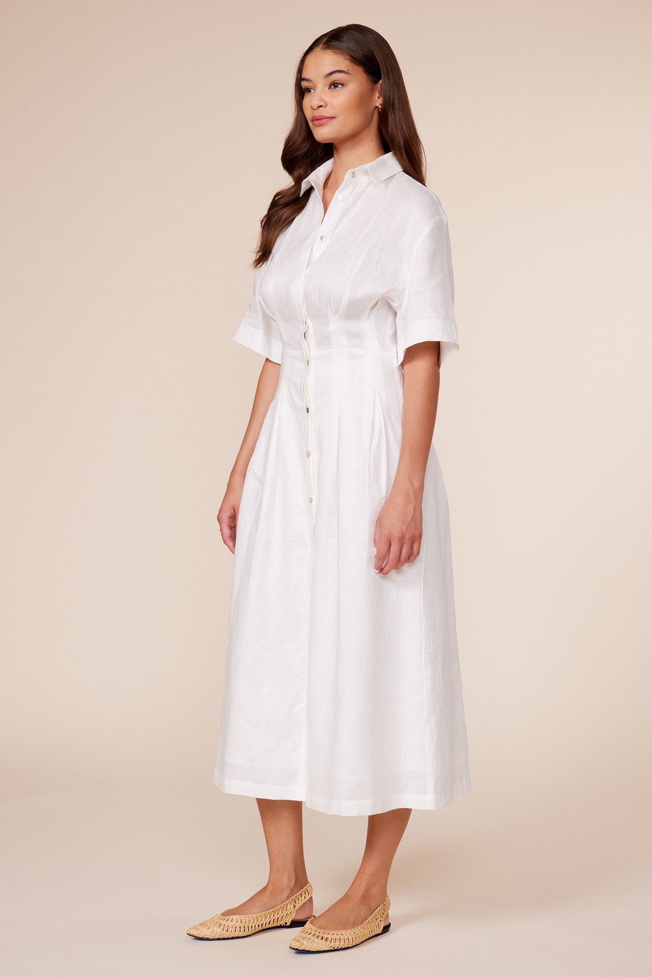Eleanor Pleated Dress