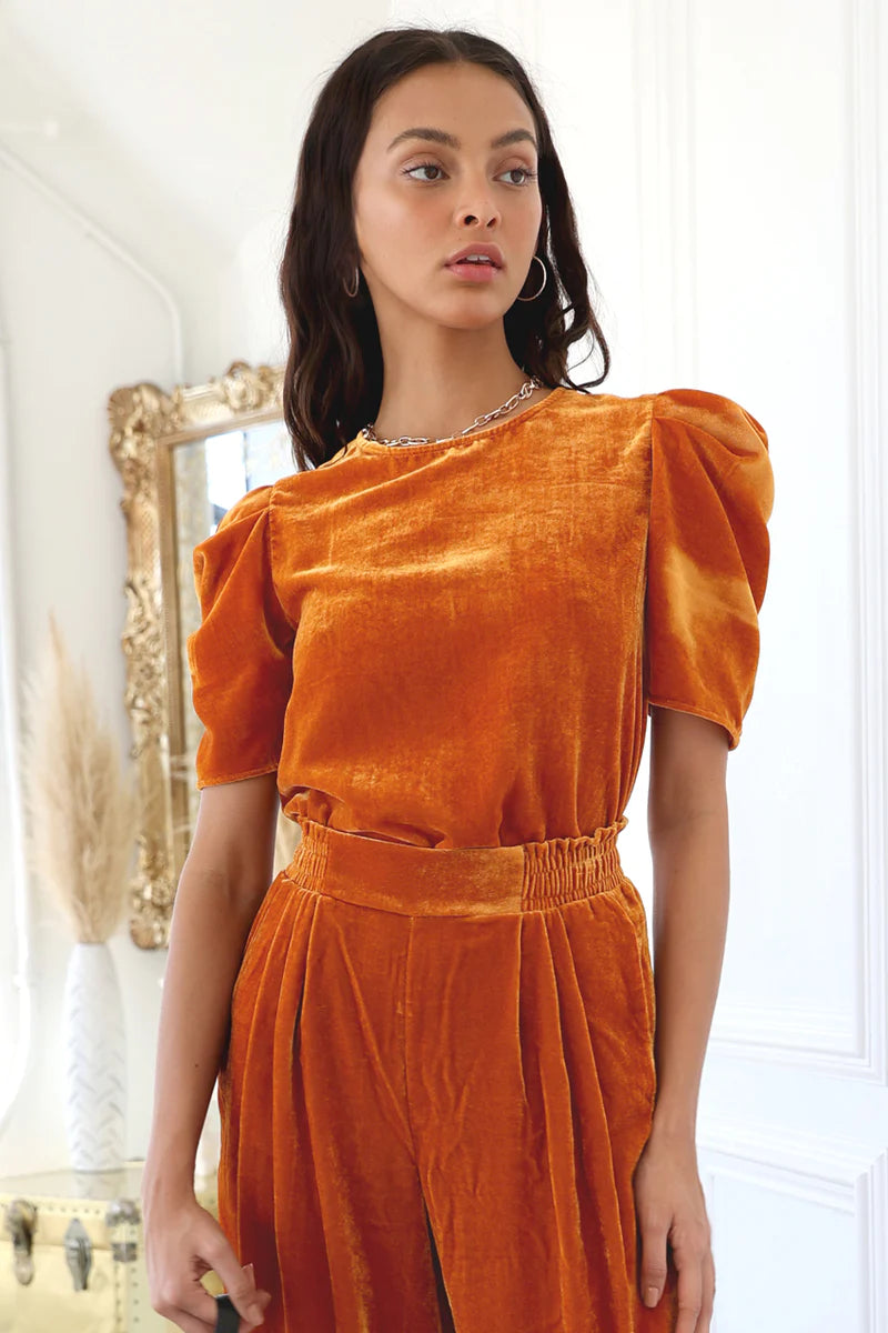 Ariel Velvet Puff Sleeve Top