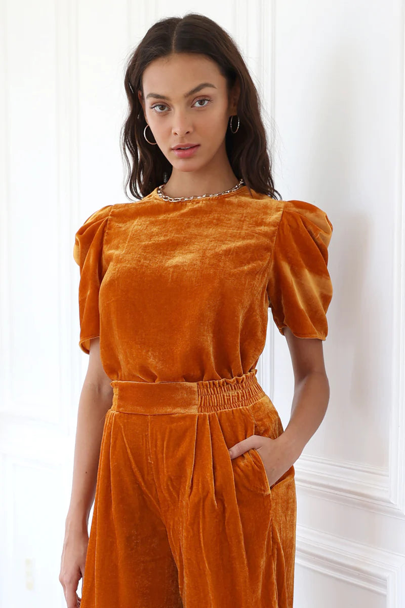 Ariel Velvet Puff Sleeve Top