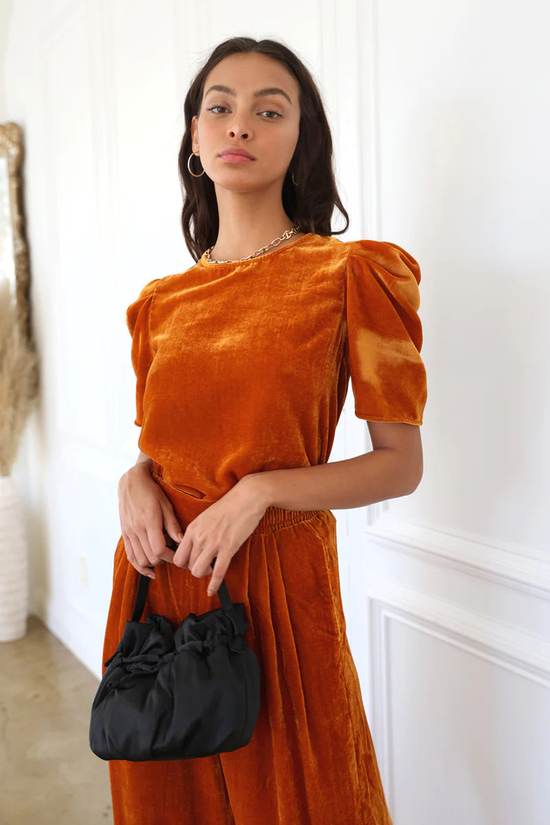 Ariel Velvet Puff Sleeve Top