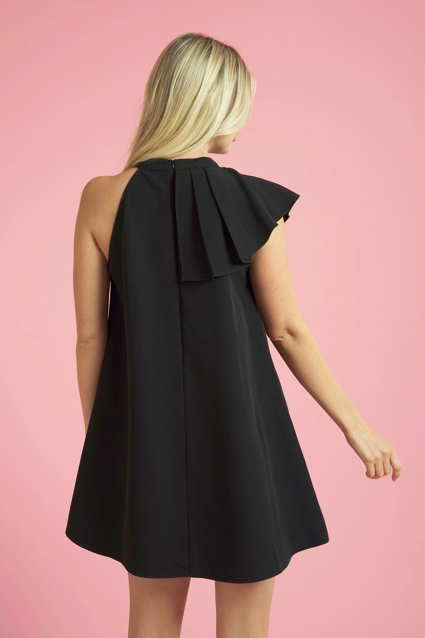 Cecelia Mini Dress