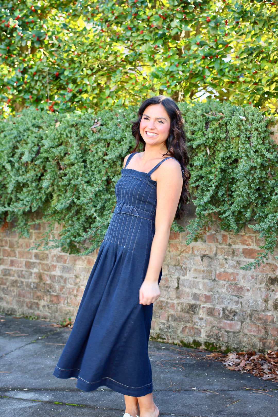 DeDe Denim Dress