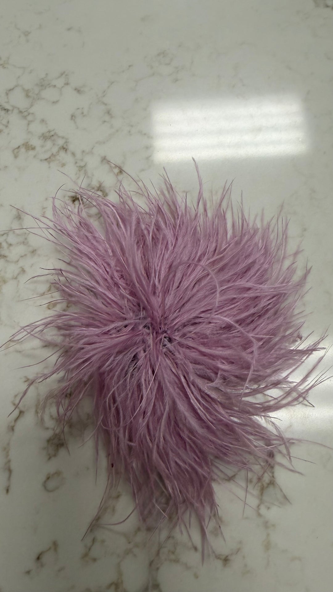Feather Broach Pin Clip