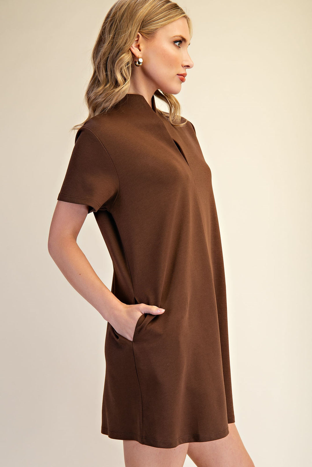 Louisa Dress in Brown