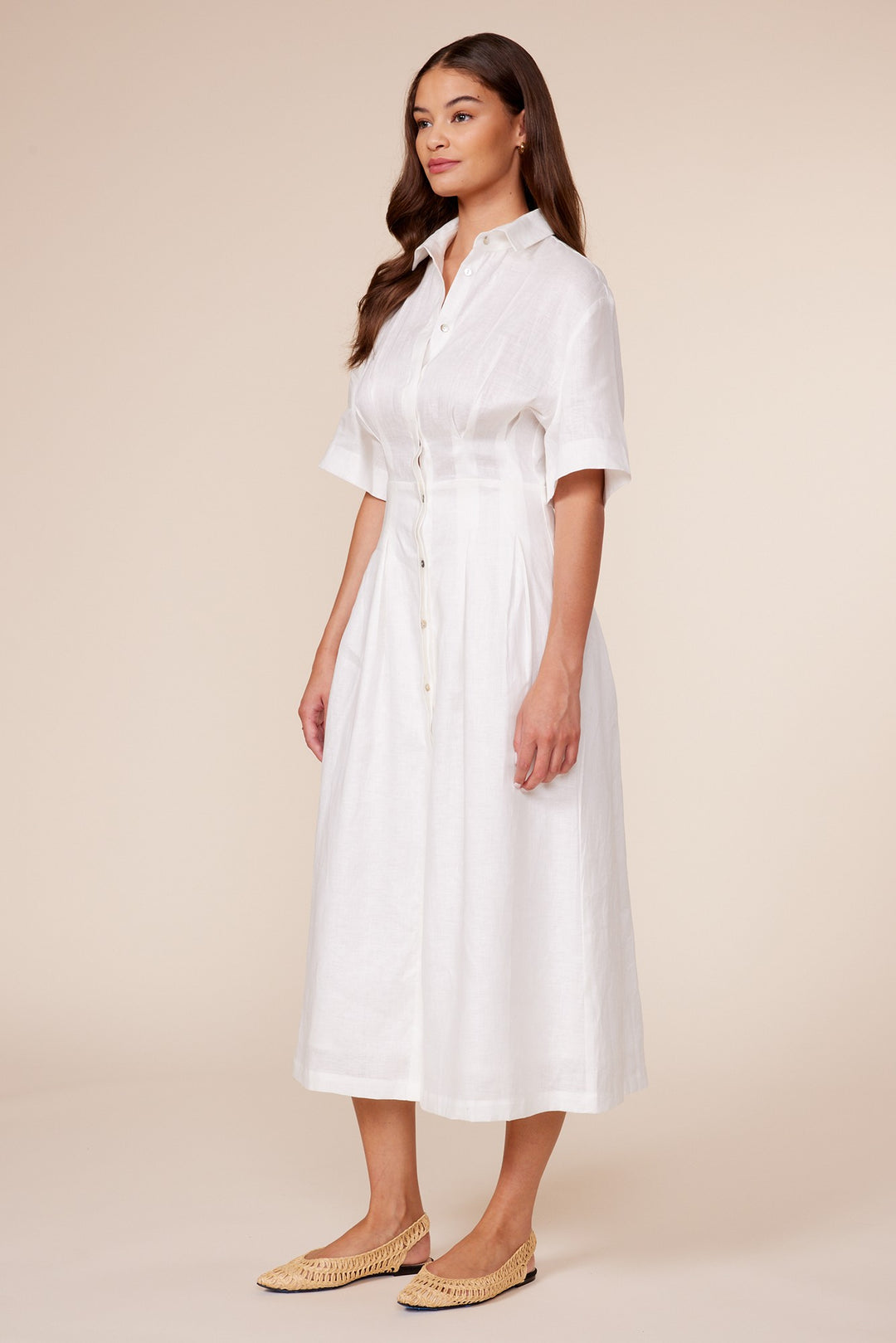 Eleanor Pleated Dress