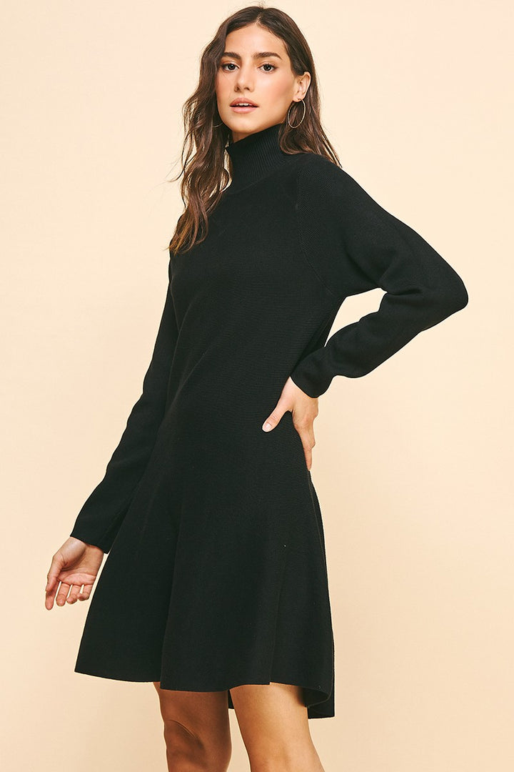 Fit & Flare Turtleneck Dress