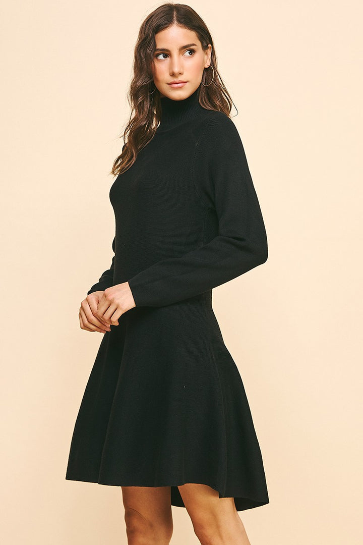 Fit & Flare Turtleneck Dress