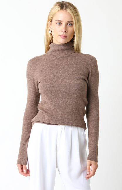 Vera Classic Turtleneck