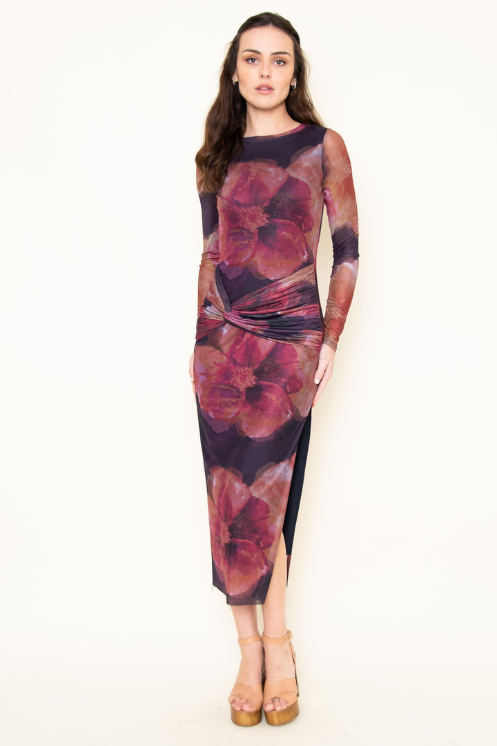 Haley Dress