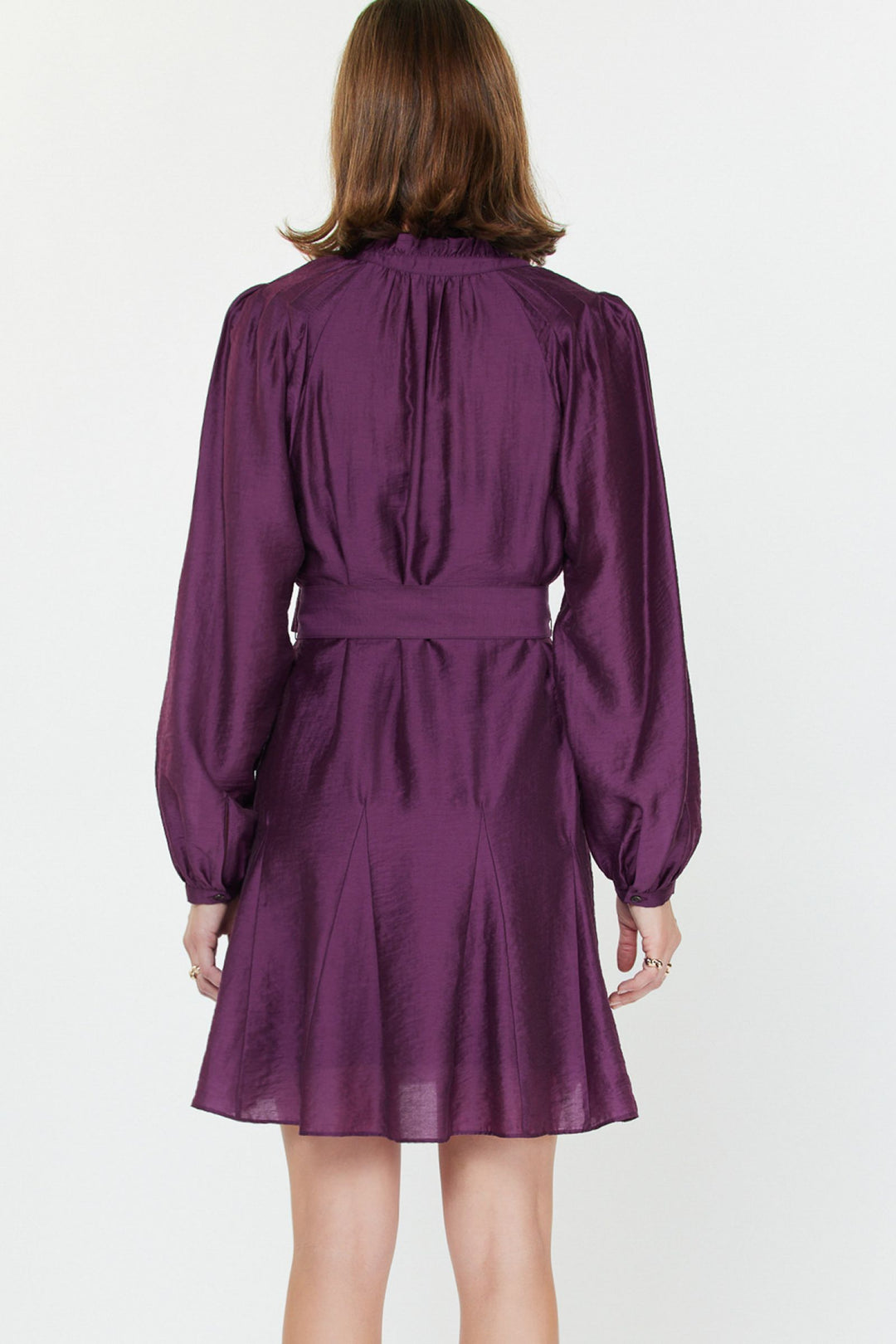 Alice Dress