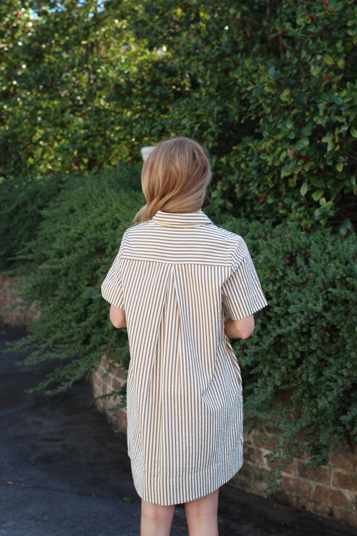 Striped Shirt Dress