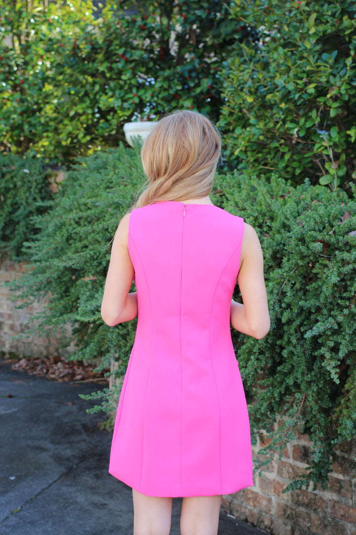 Pink Lady Dress