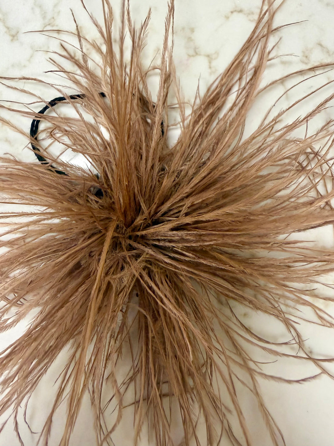 Feather Broach Pin Clip