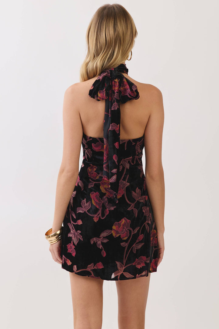 Saylor Dress in black floral velvet