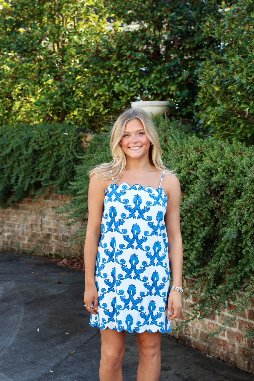Waters Edge Dress
