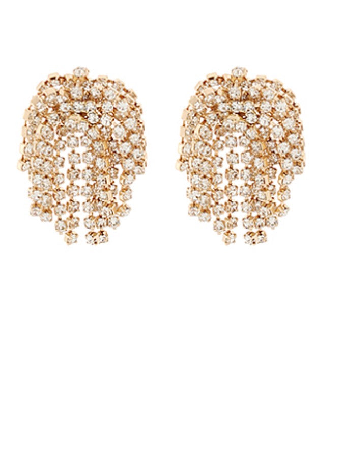 Crystal Fringe Chain Earring