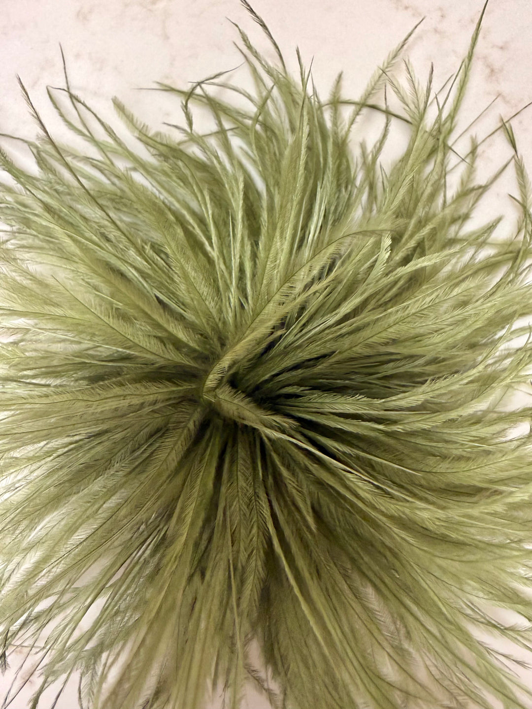 Feather Broach Pin Clip