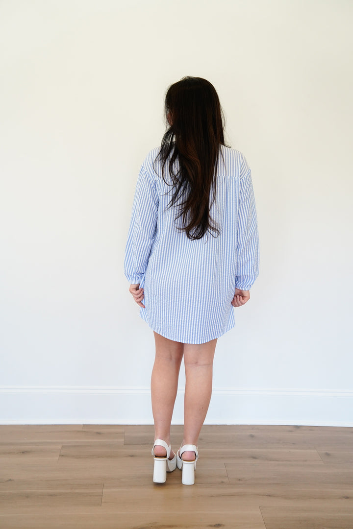 Priscilla Dress/Top
