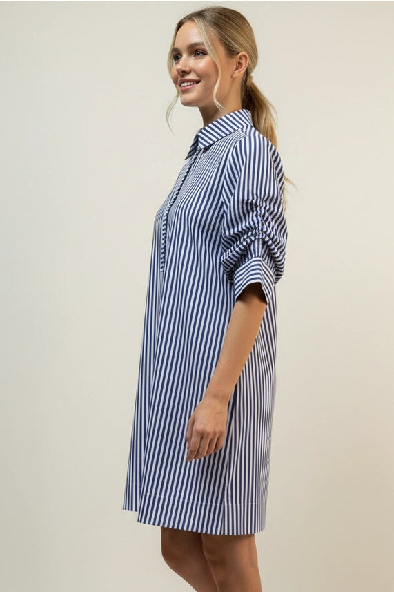 Nantucket Button Down Mini Dress