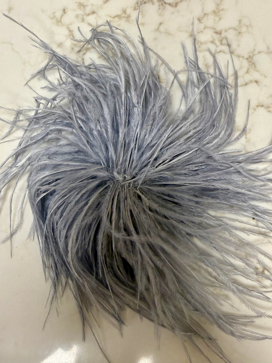 Feather Broach Pin Clip