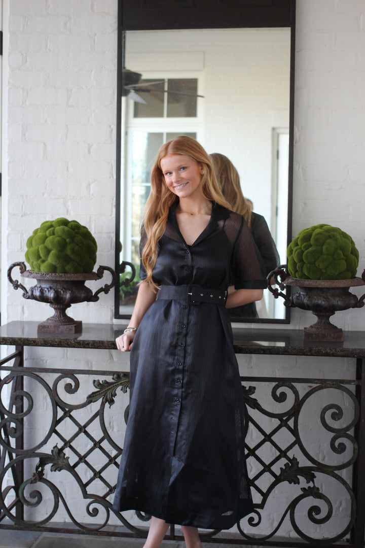 Mesh Midi Dress