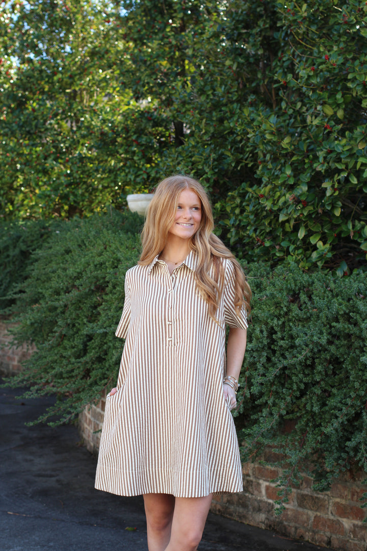 Striped Shirt Dress