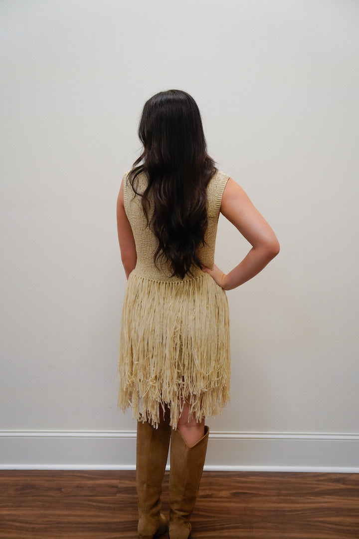 The Frilly Fringe Dress