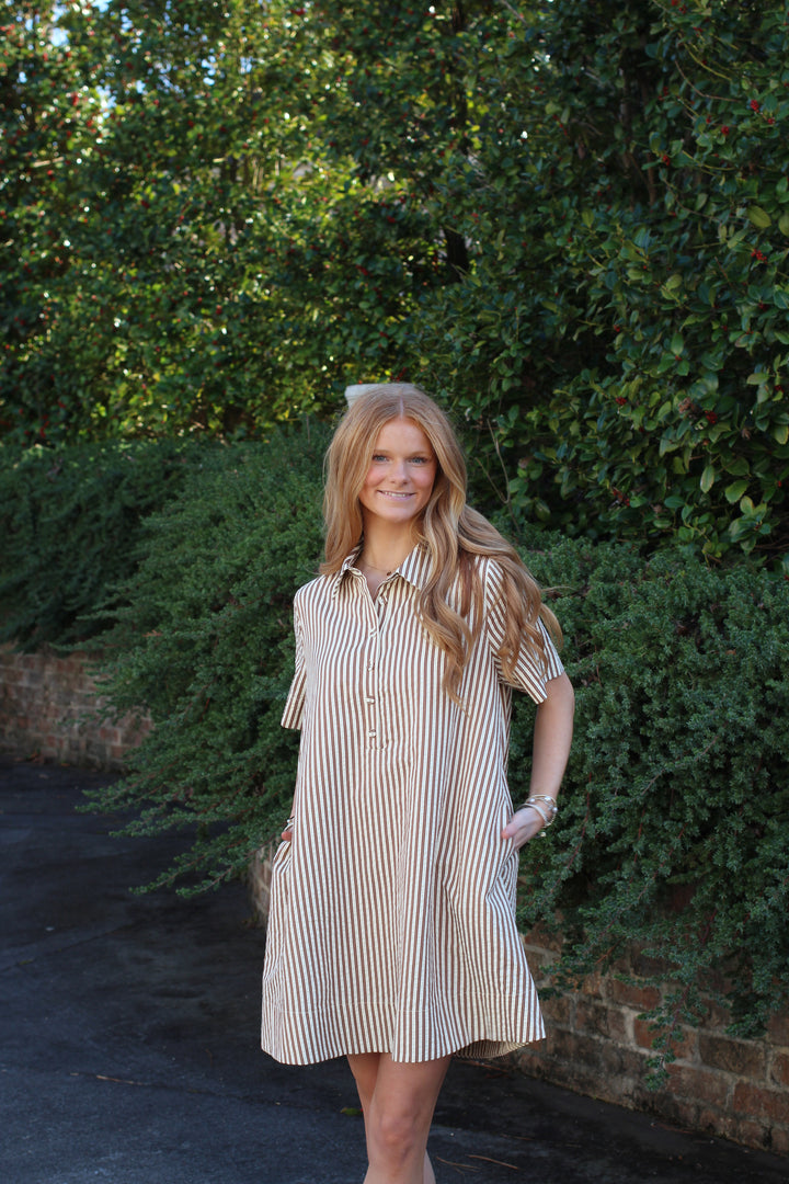 Striped Shirt Dress