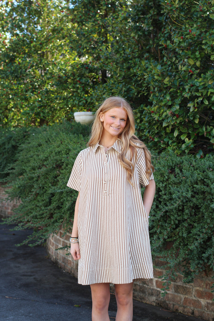 Striped Shirt Dress