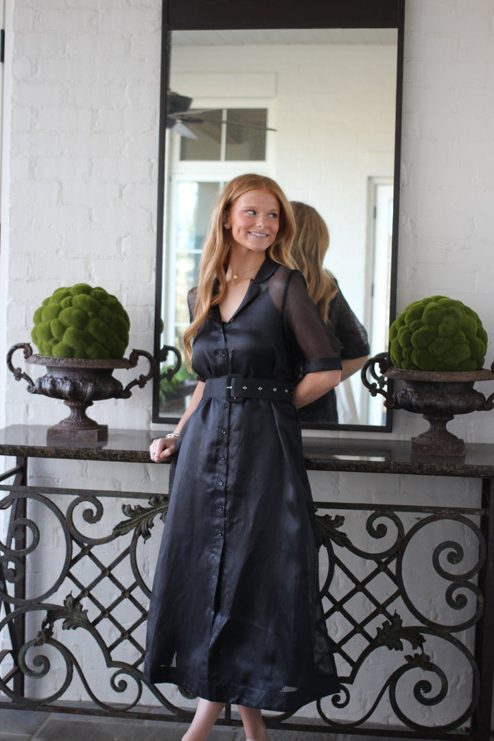 Mesh Midi Dress