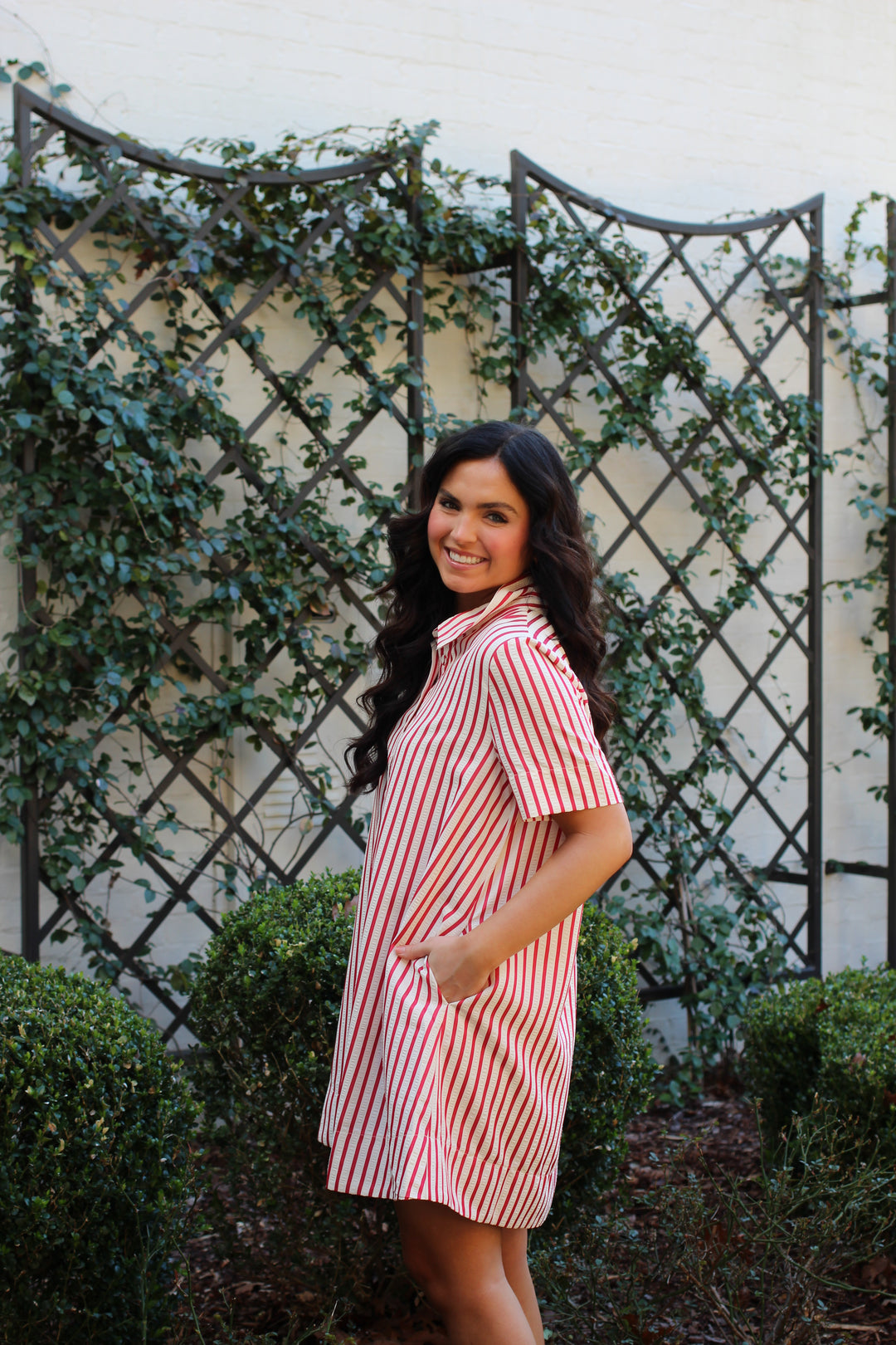 Red Harbor Striped Shirt Dress