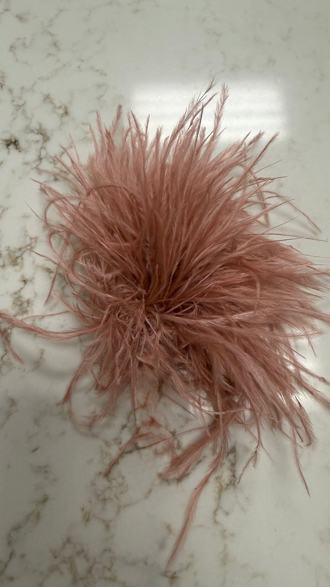 Feather Broach Pin Clip