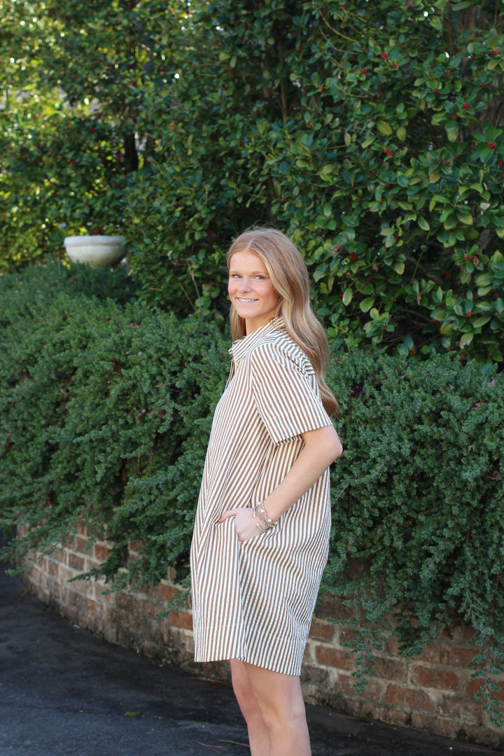 Striped Shirt Dress