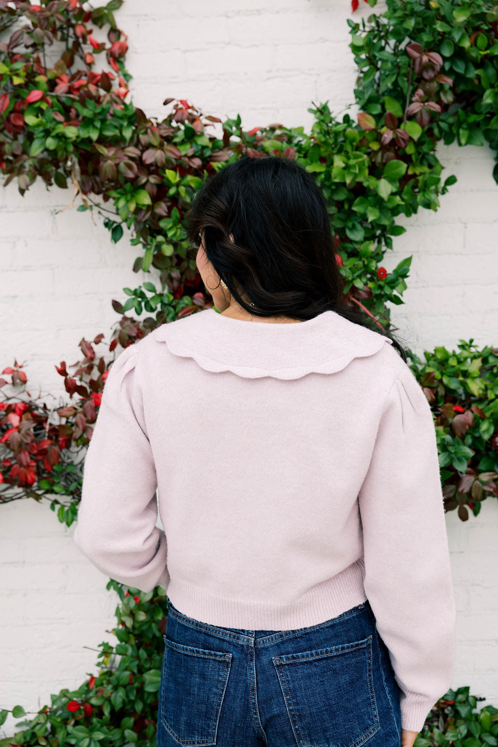 Scallop Collar Sweater