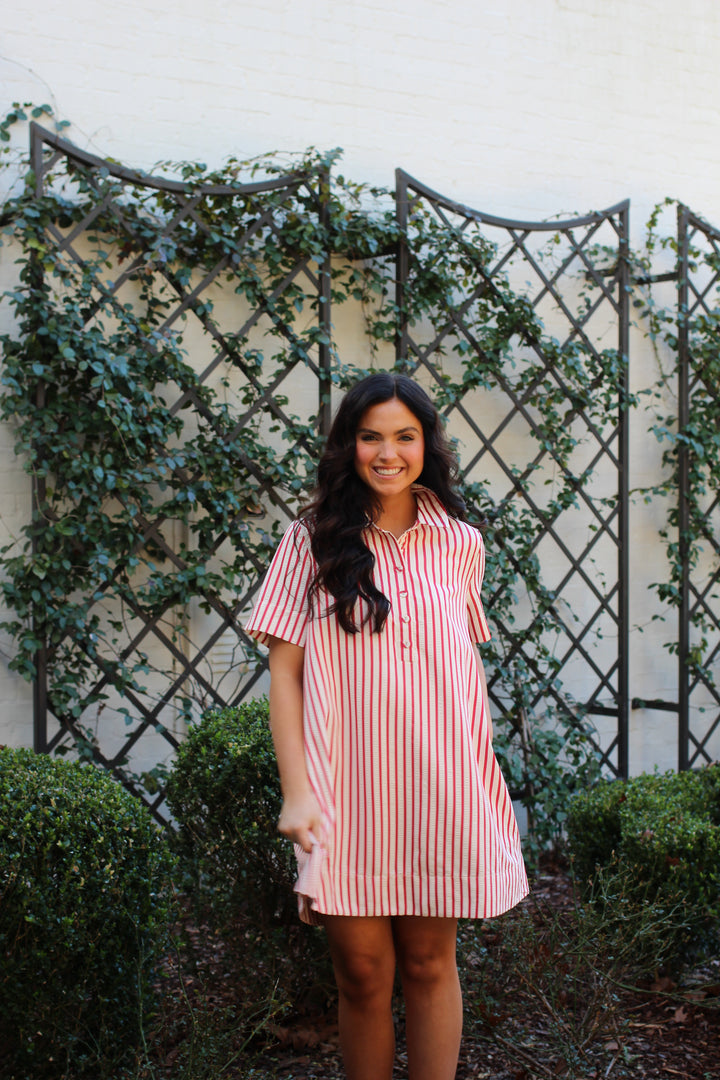 Red Harbor Striped Shirt Dress