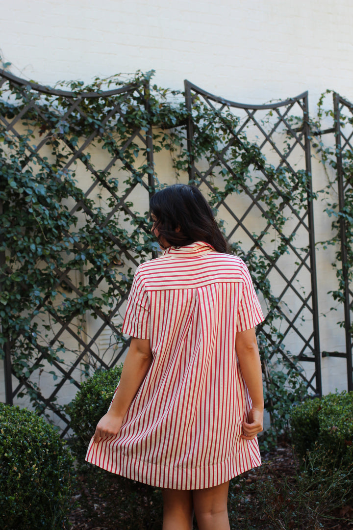 Red Harbor Striped Shirt Dress