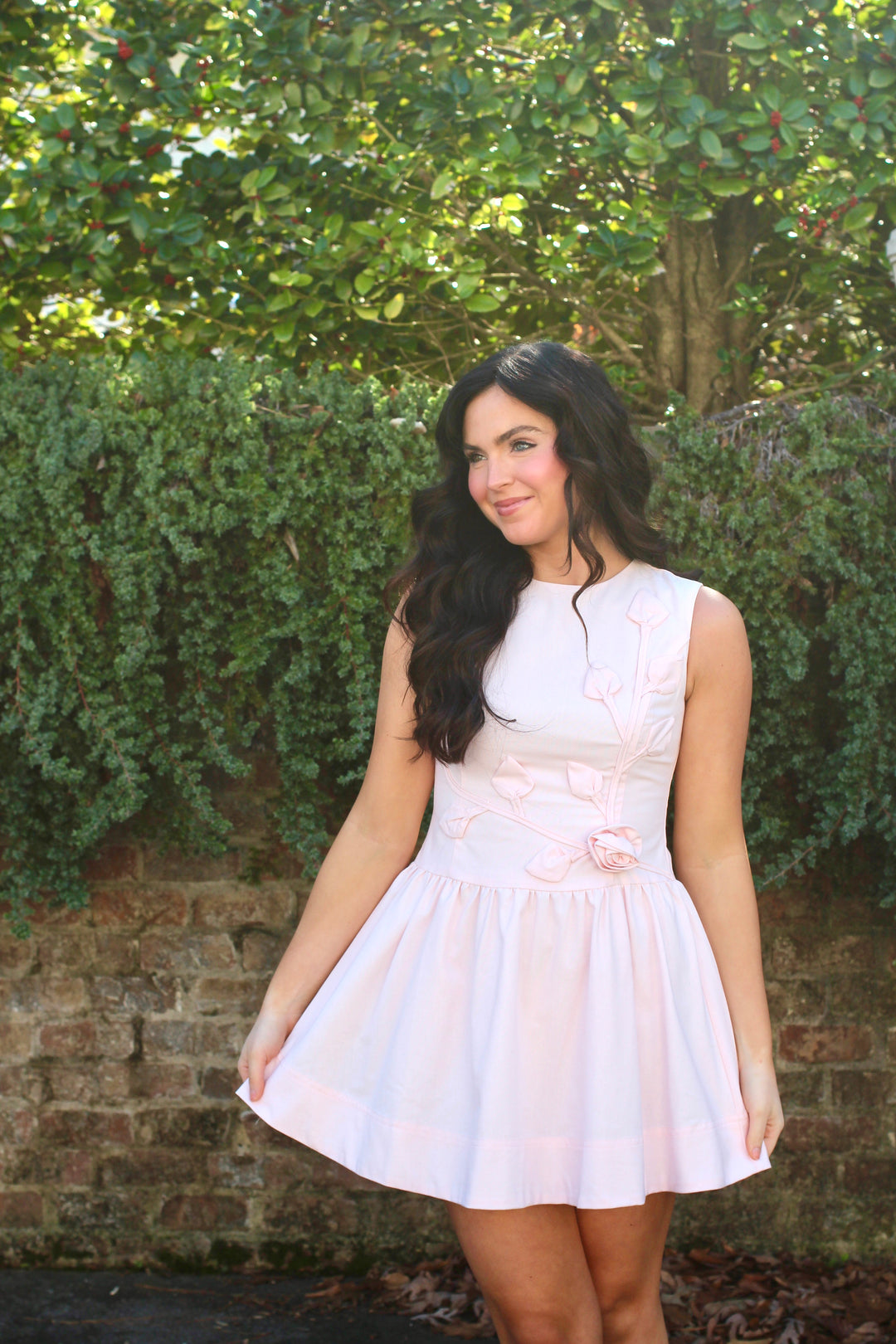 Rosie Mini Dress