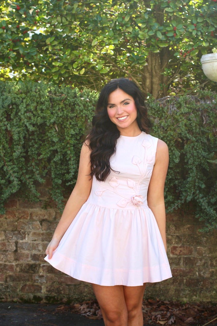 Rosie Mini Dress